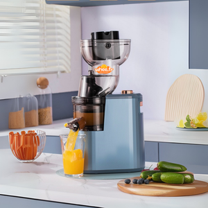Extracteur de Jus Grand Calibre Séparation Pulpe/Jus