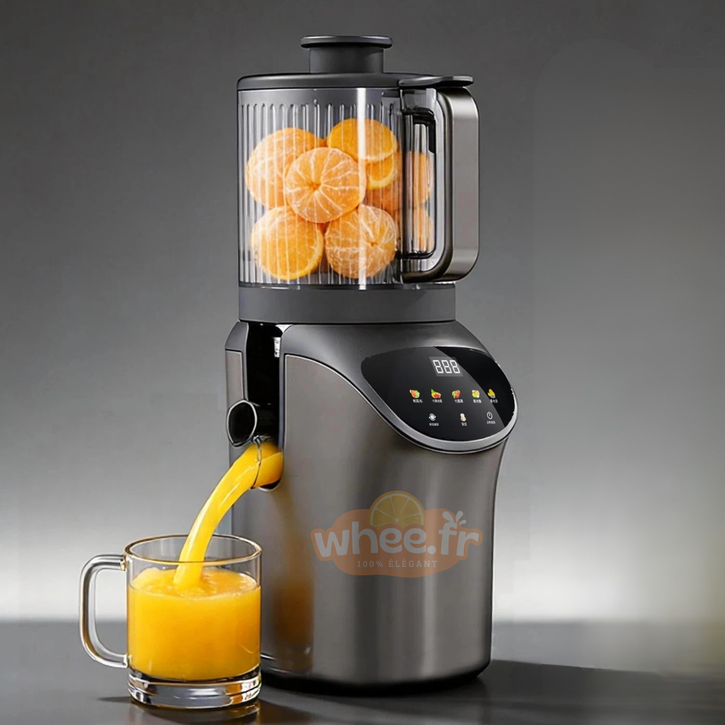 Extracteur de Jus à Froid Multifonction - Séparation Automatique et Goulotte Extra-Large