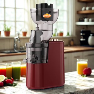 Extracteur de Jus Grand Calibre Séparation Pulpe/Jus