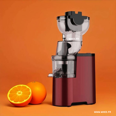 Extracteur de Jus multifonction automatique – Jus frais sans coupe