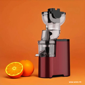 Presse-agrumes multifonction automatique – Jus frais sans coupe