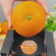 Automatic Multi-Function Juicer – Fresh Juice Without Cutting